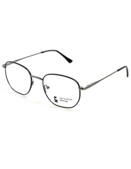 BRIXTON BF 220 C10 50