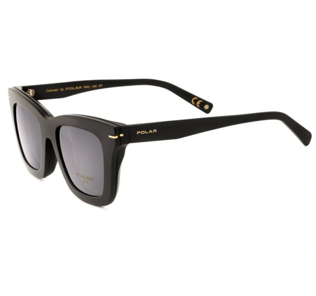 POLAR Gold C 81 C77 52-19-145 CLIP-ON