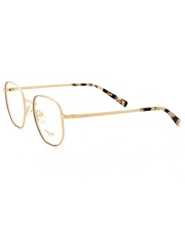 POLAR Gold 2005 C78 51-21-140