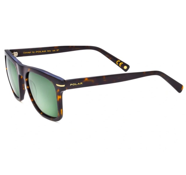 POLAR Gold 3018 C428 53-21-145